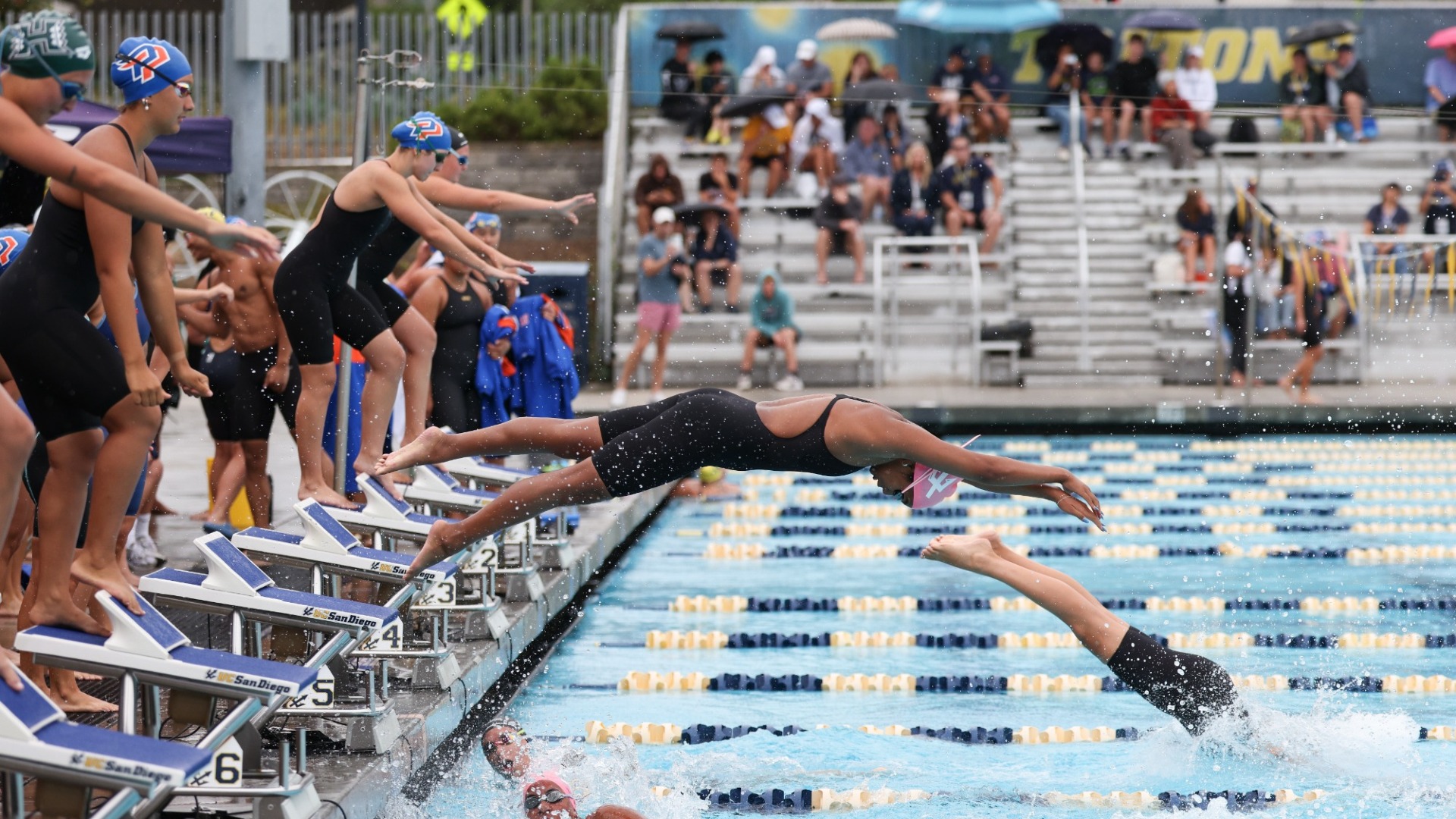 UC San Diego swimmer diving off a block into the pool during a relay