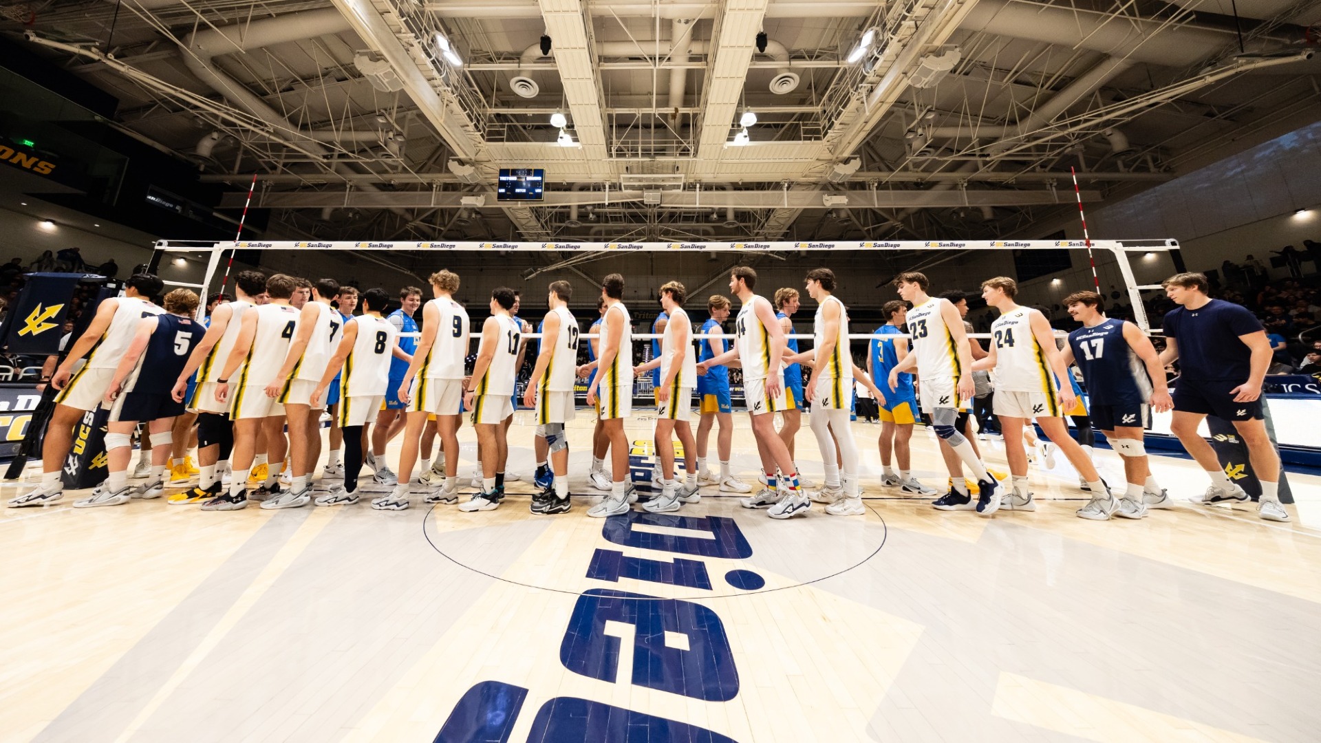 Men's Volleyball Handshakes