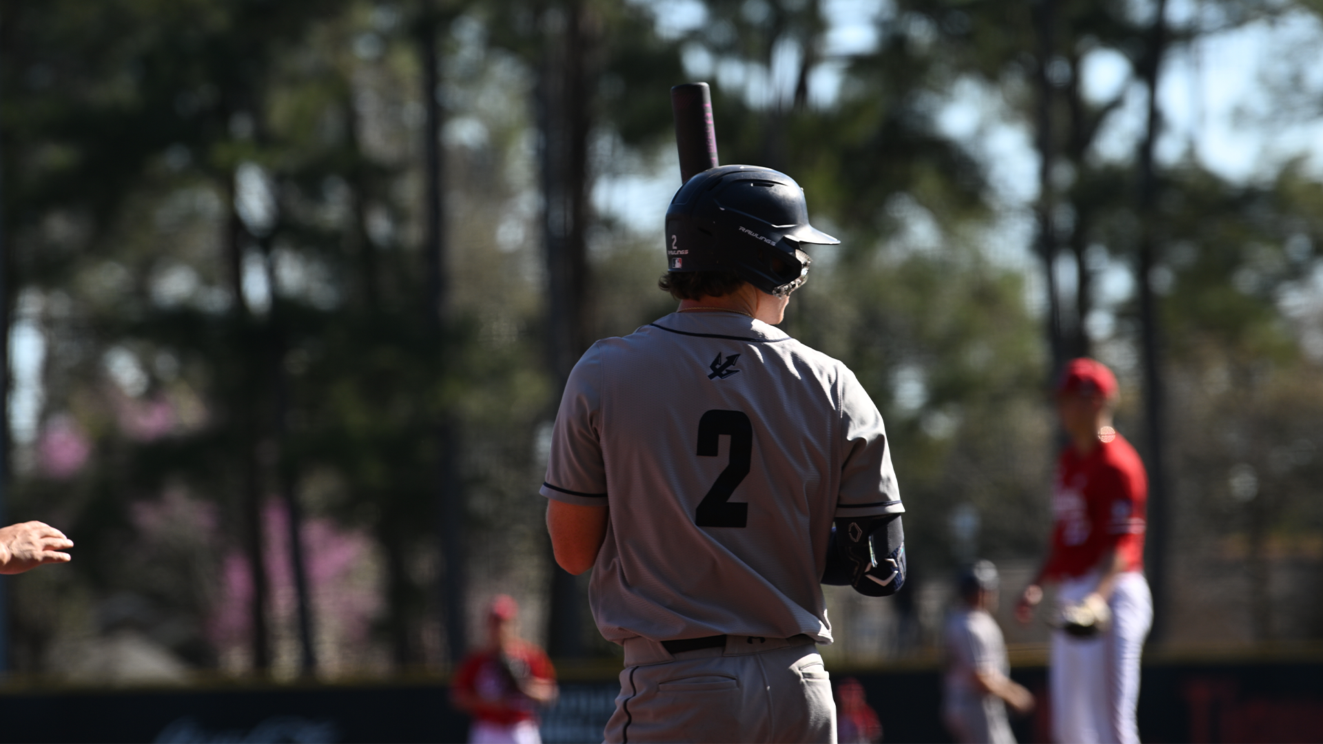 Anthony Potestio vs Louisiana