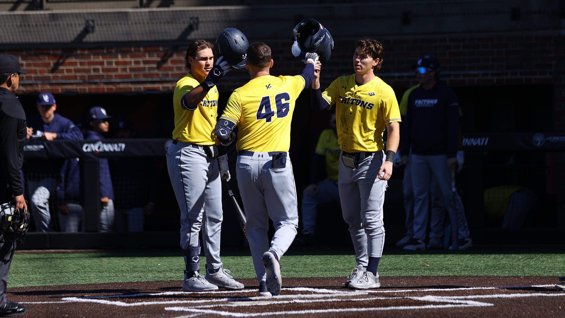 Camacho-Crossland-Potestio