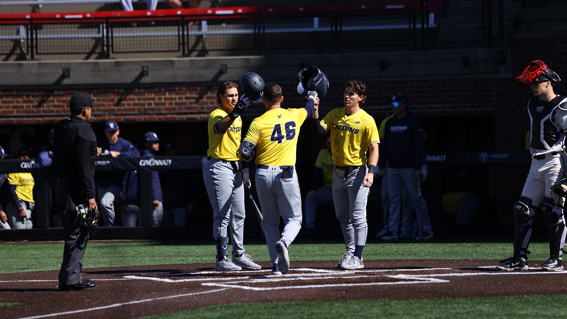 Camacho-Crossland-Potestio