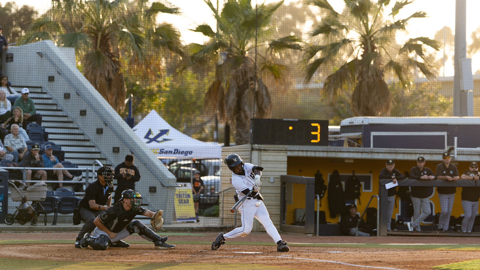 Delshaun Lanier swings at a ball in the batter's box with palm trees, stadium and dugout behind him