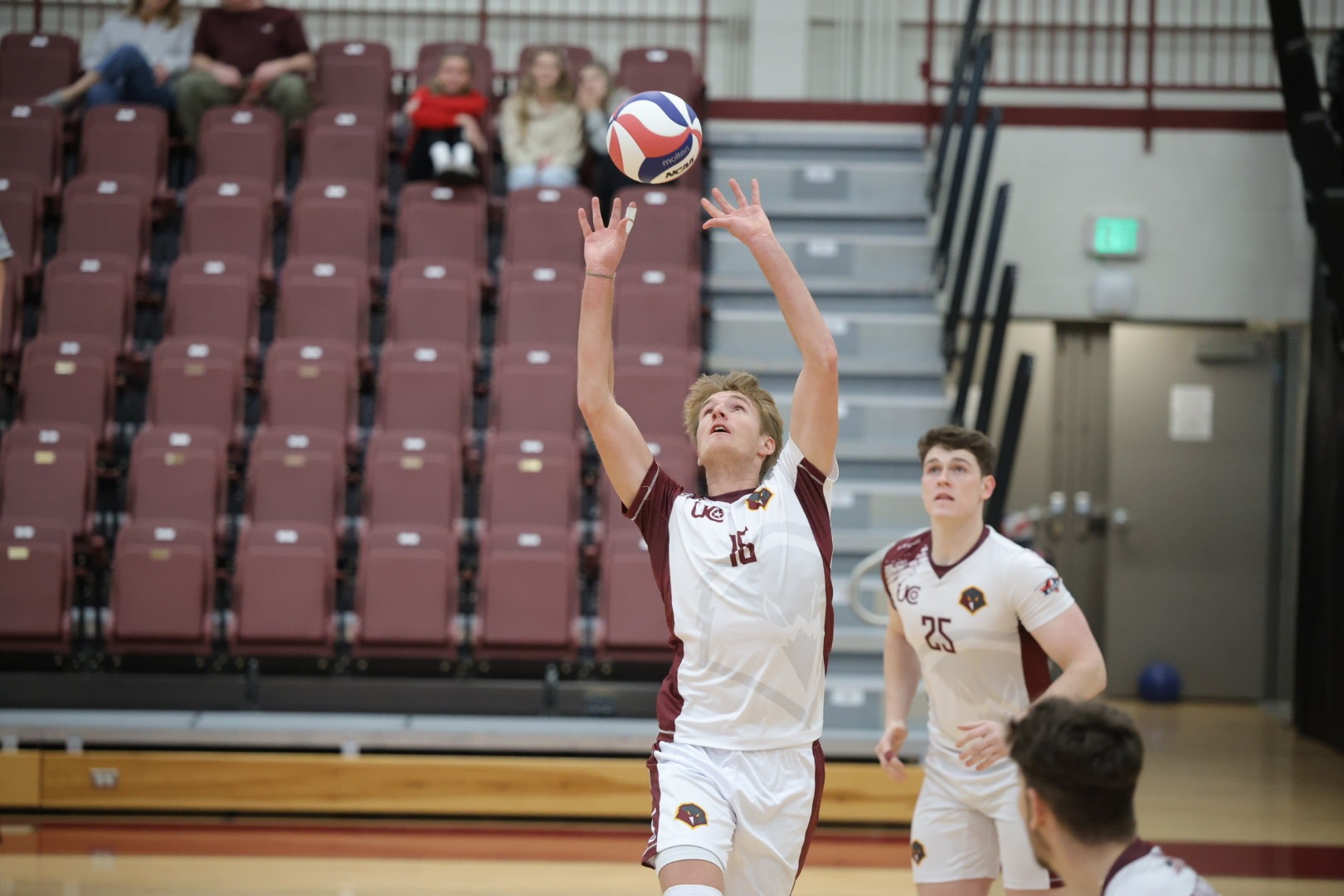 Paul Stommel - Men's Volleyball - University of Charleston Athletics