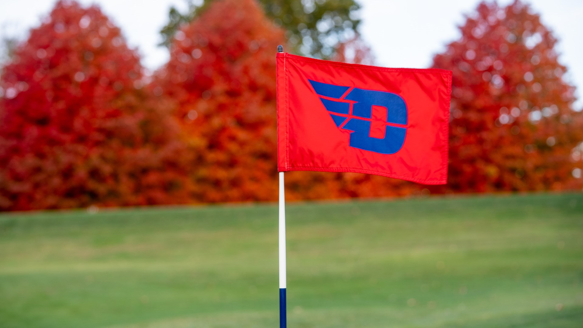 D Logo Golf Flag
