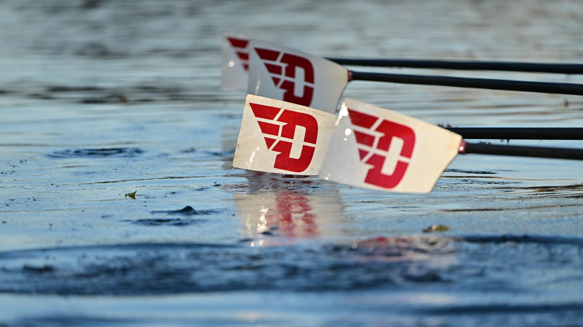Varsity 4 boat oars in the water during practice in October 2022