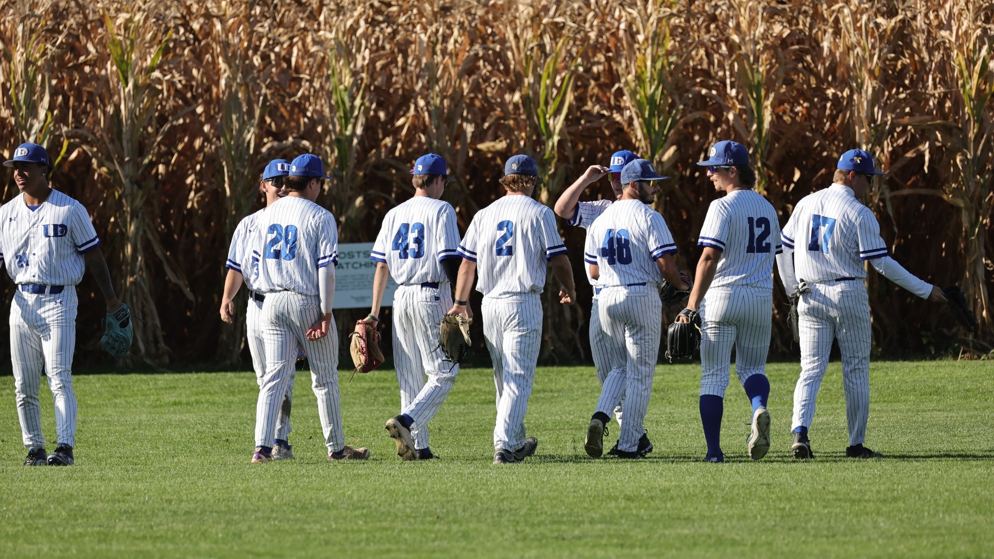 cash_lyons_outfield_corn