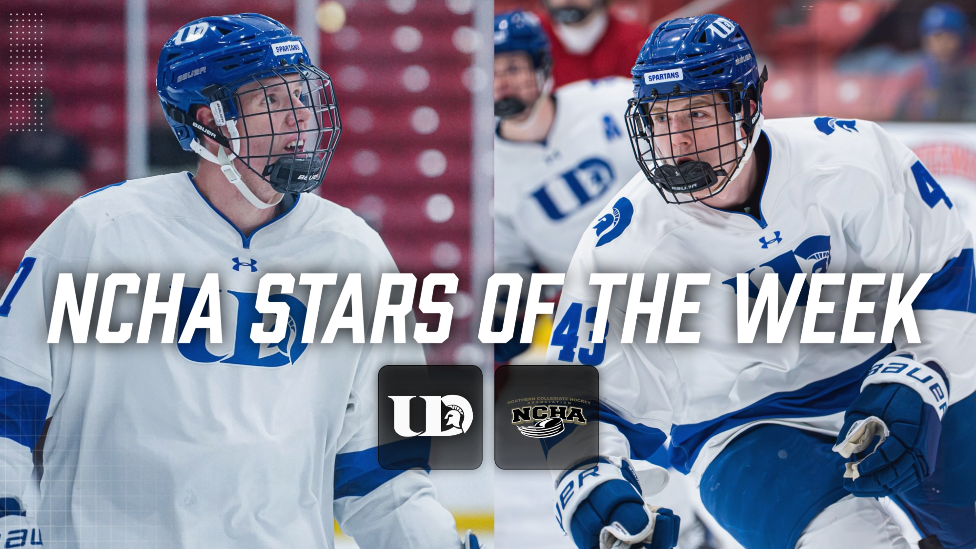 Borodaenko & Coles NCHA Stars of the Week (2/10/26)