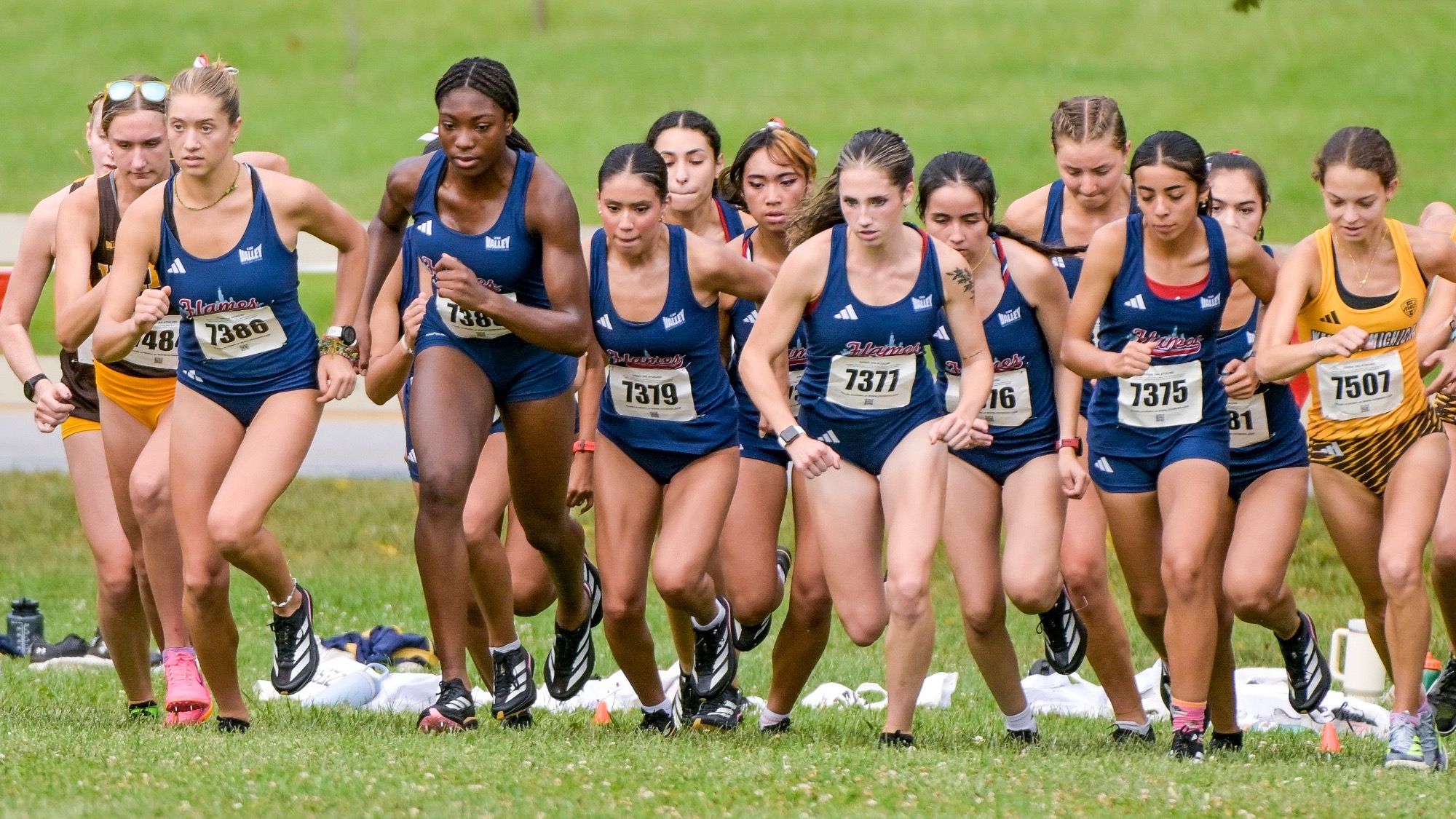 XC Opener