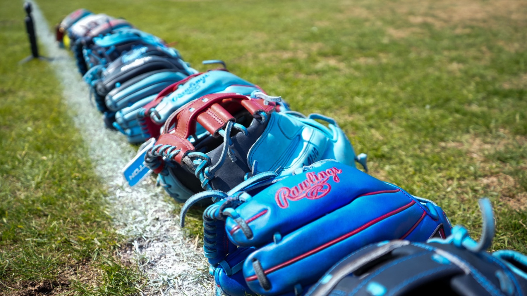 Softball Evergreen