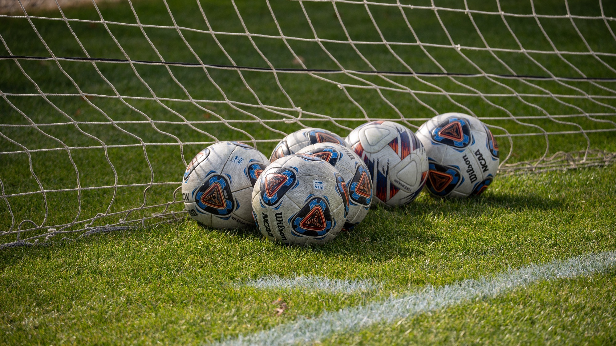 WSOC Evergreen