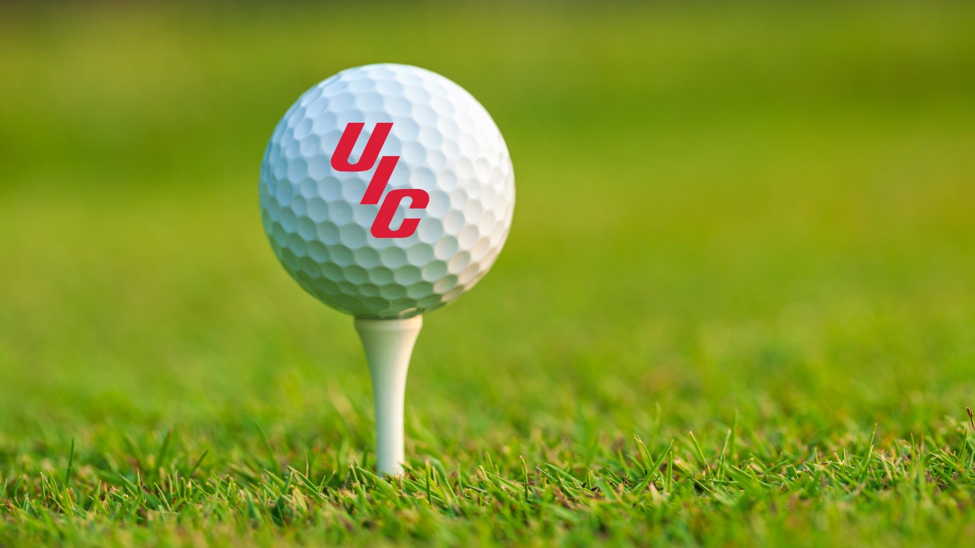 UIC baseball
