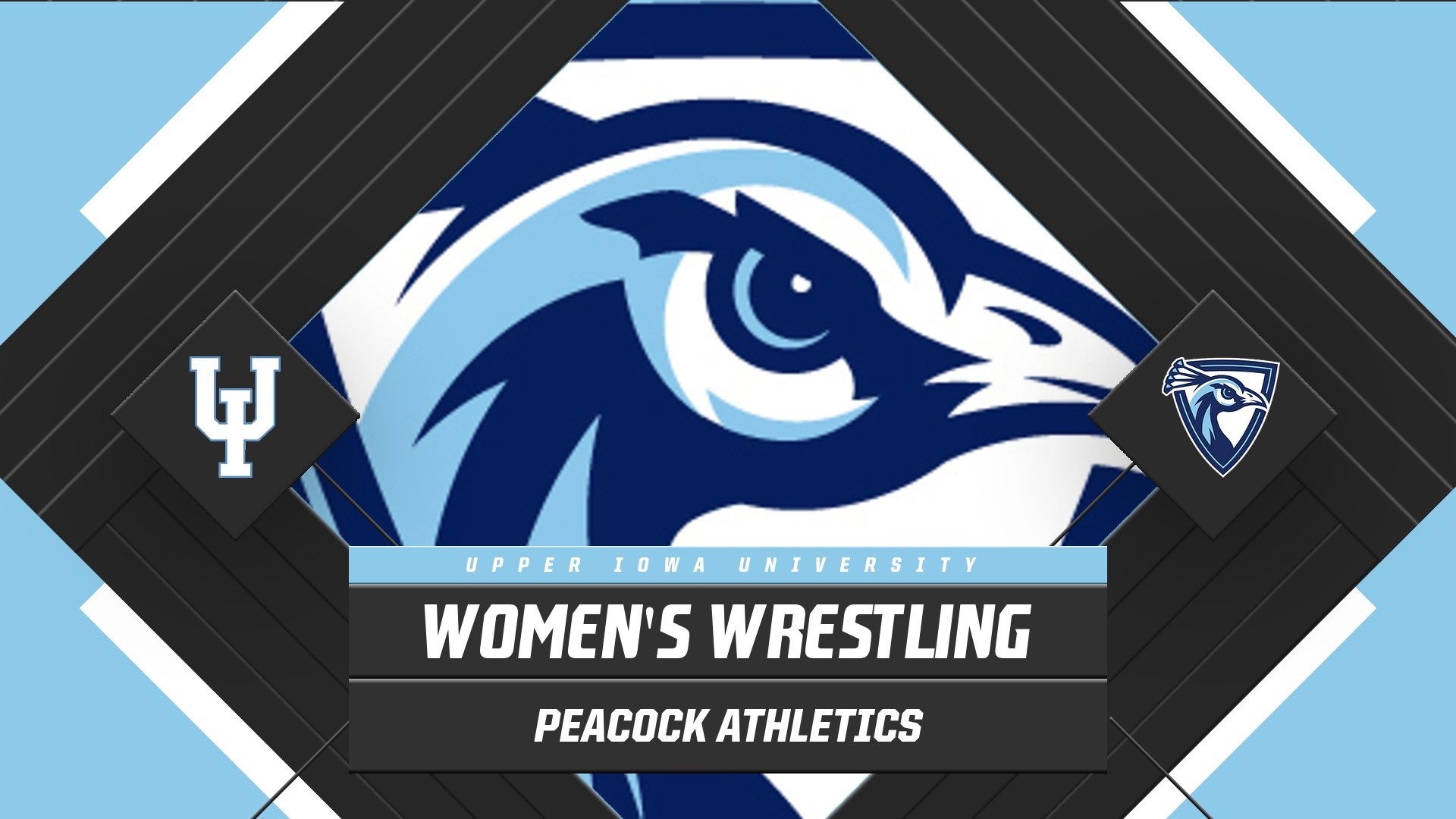 Upper Iowa adds Women's Wrestling in shift of women's sport offerings