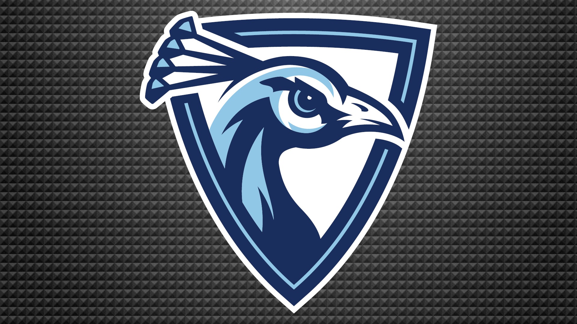 Peacock Logo