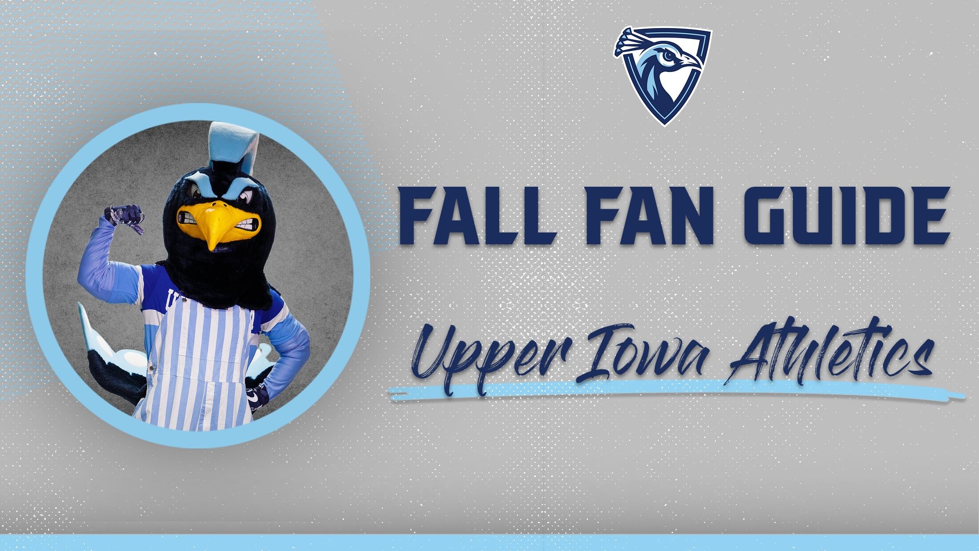 Fall Fan Guide
