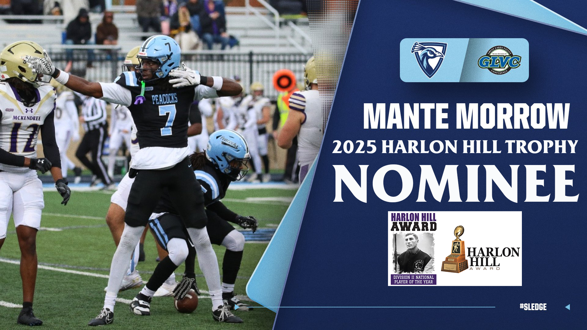 Mante Morrow Harlon Hill Graphic