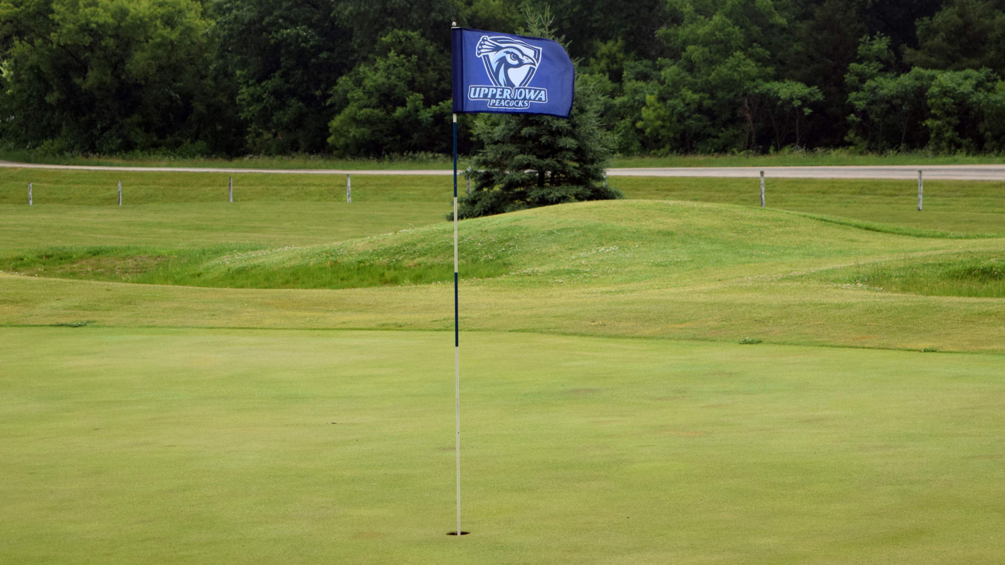 Upper Iowa Peacocks Golf Flag waving in the wind