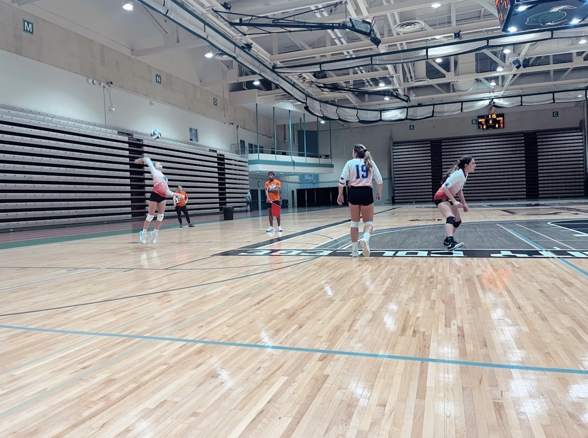 Women's Volleyball Falls to Dutchess 31 Ulster County Community College