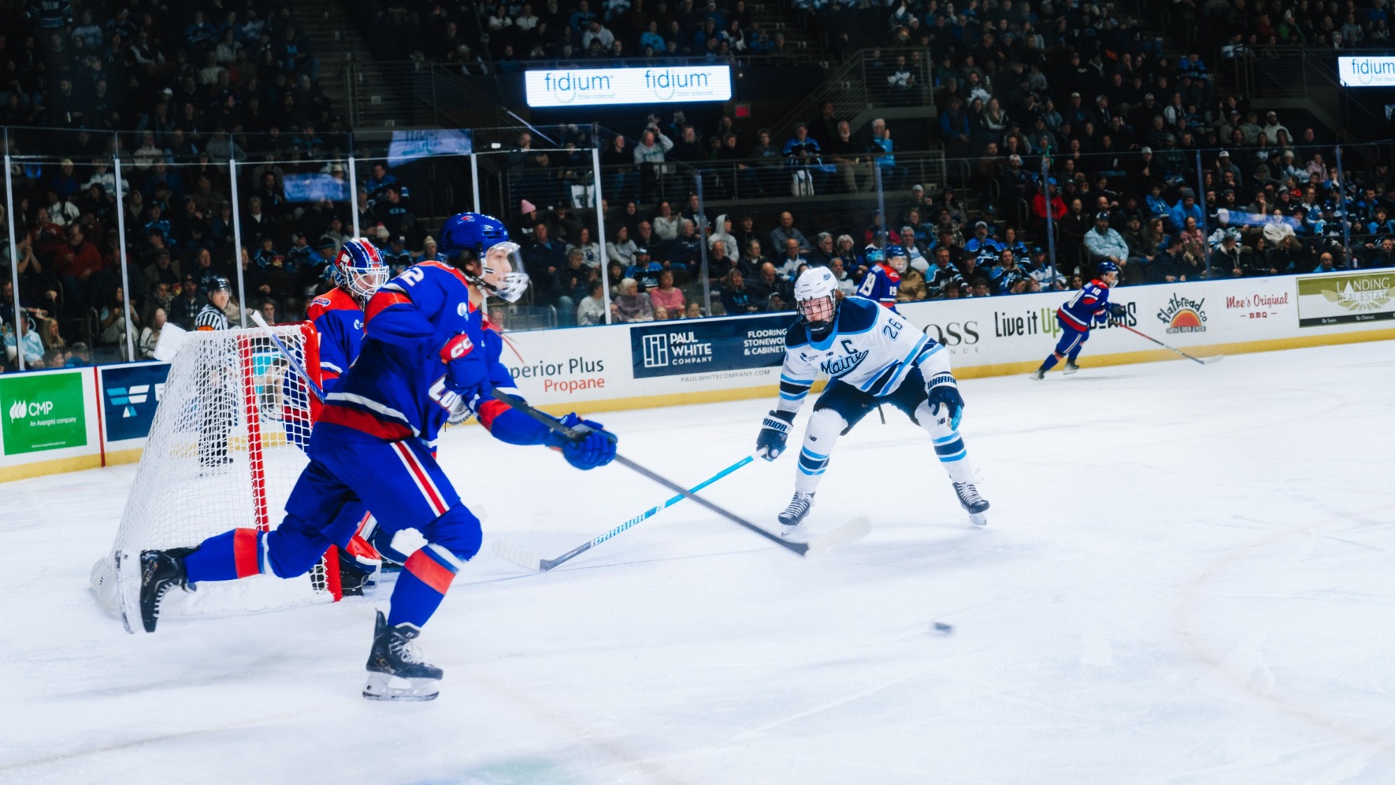 Thomas Freel action shot.