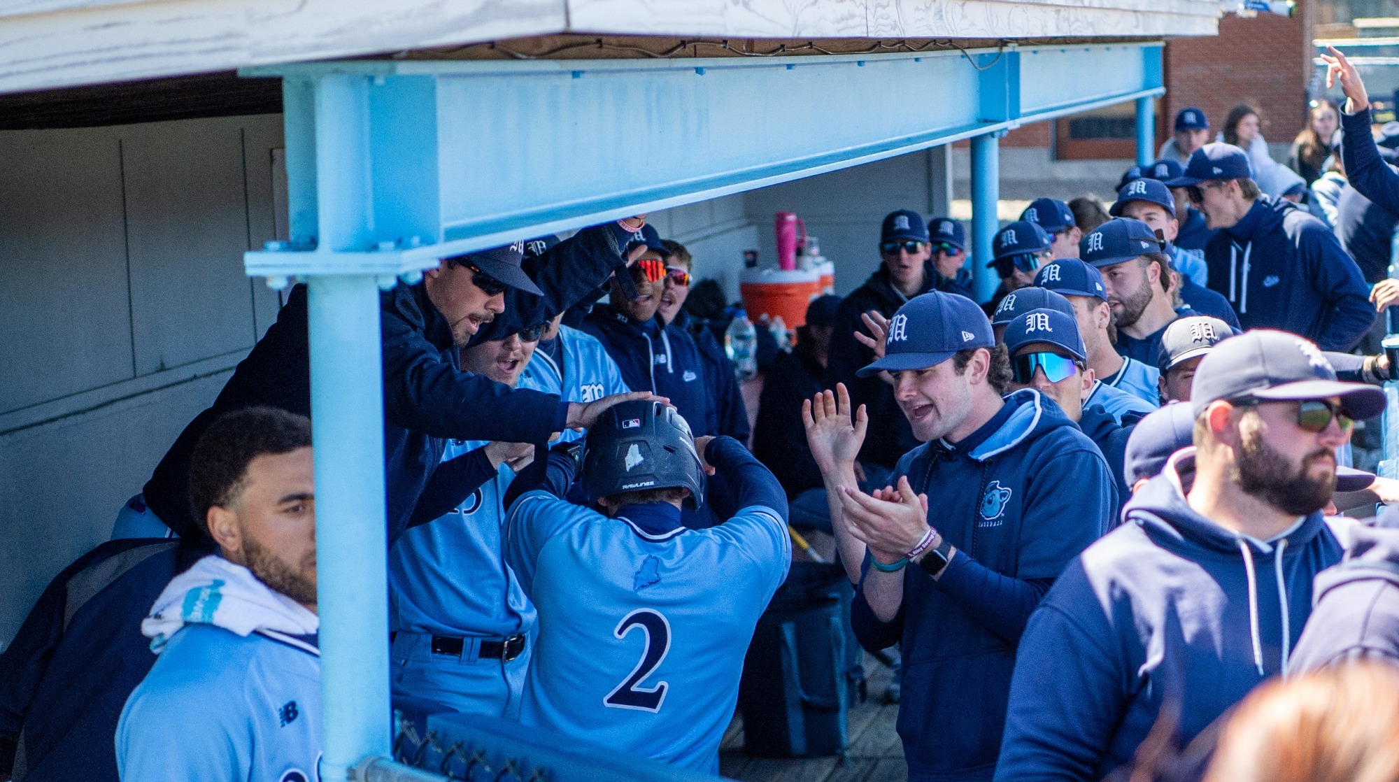 Baseball Celebration