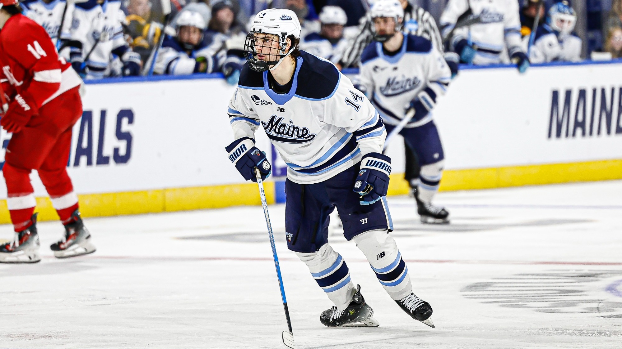 Sully Scholle in action against Cornell.