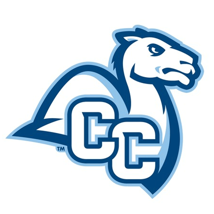 Opponent Logo