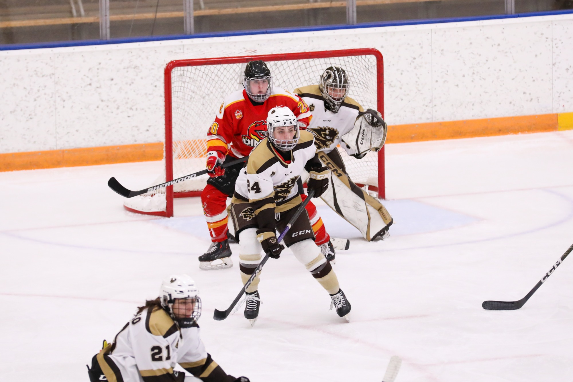 Hat trick Hero Kylie Lesuk Leads Manitoba Bisons To Weekend Sweep With