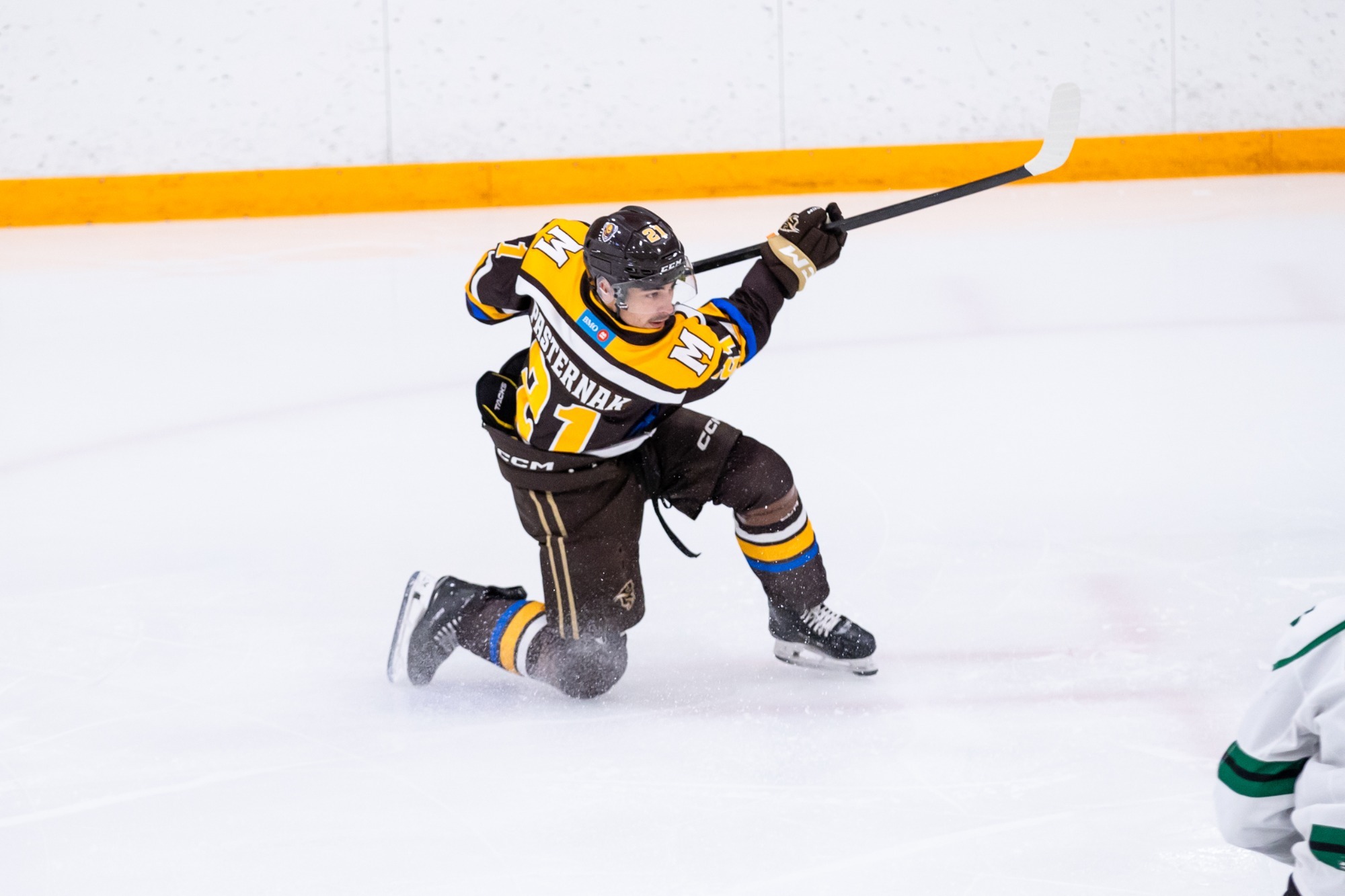 Pasternak shot
