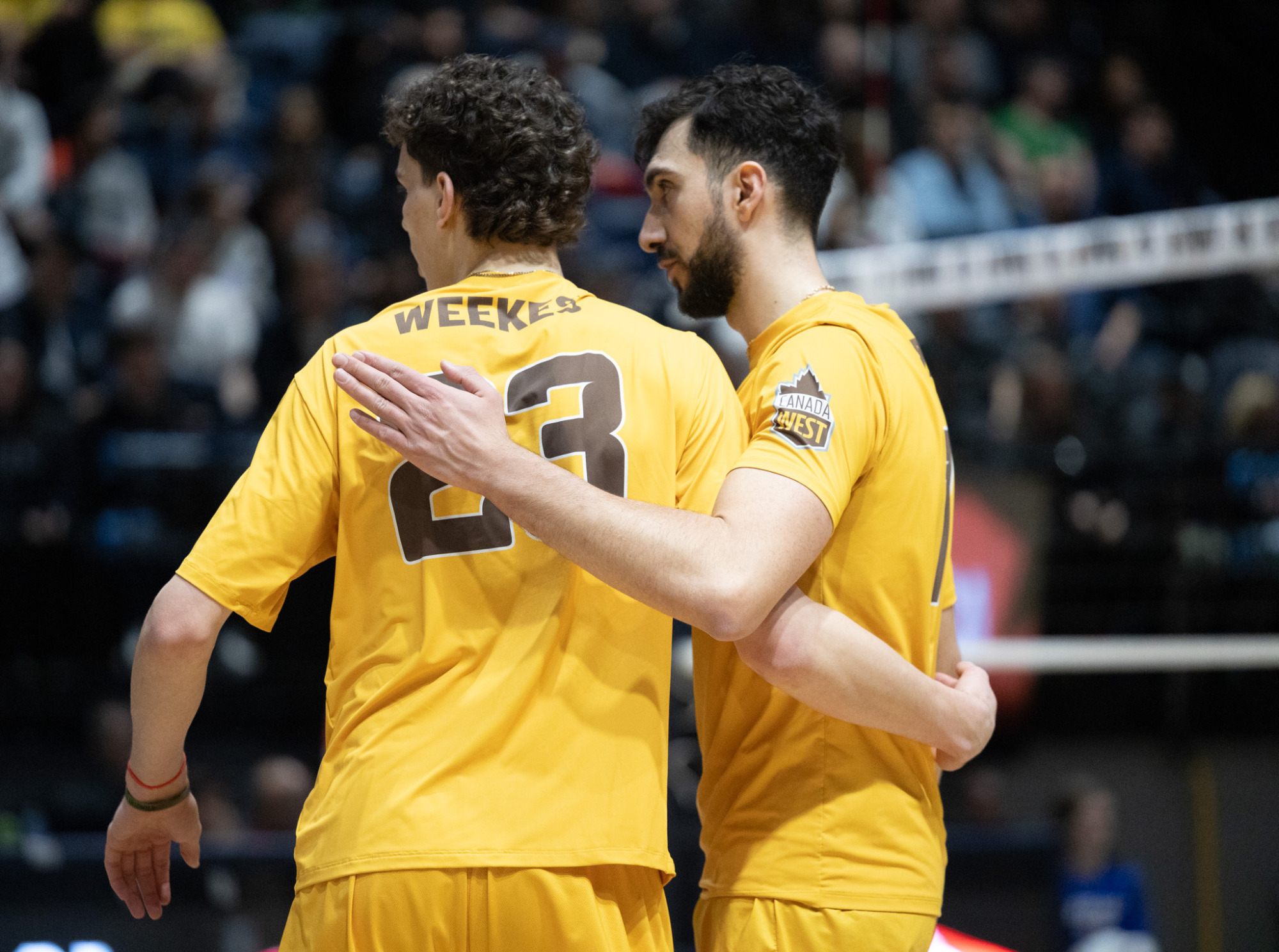 Karil Dadash Adeh Owen Weekes