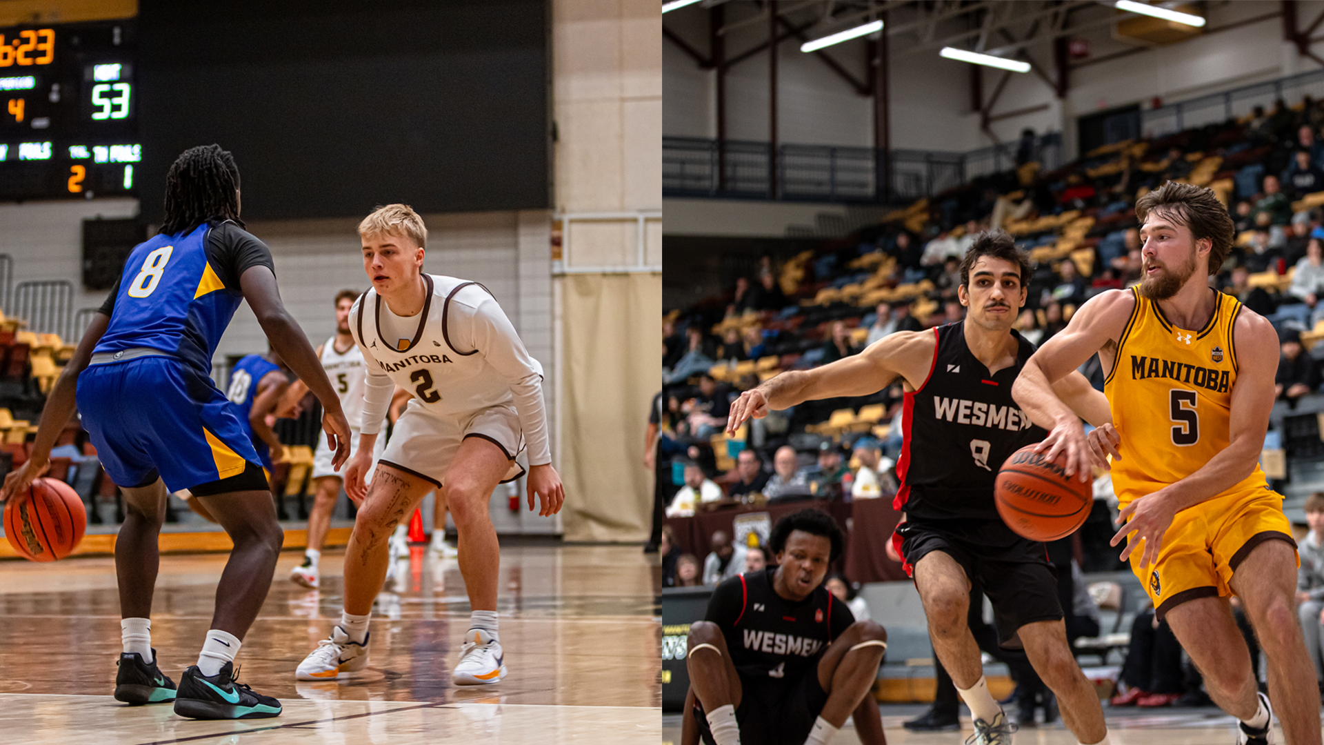 Brandt Lenz Dante Dyck