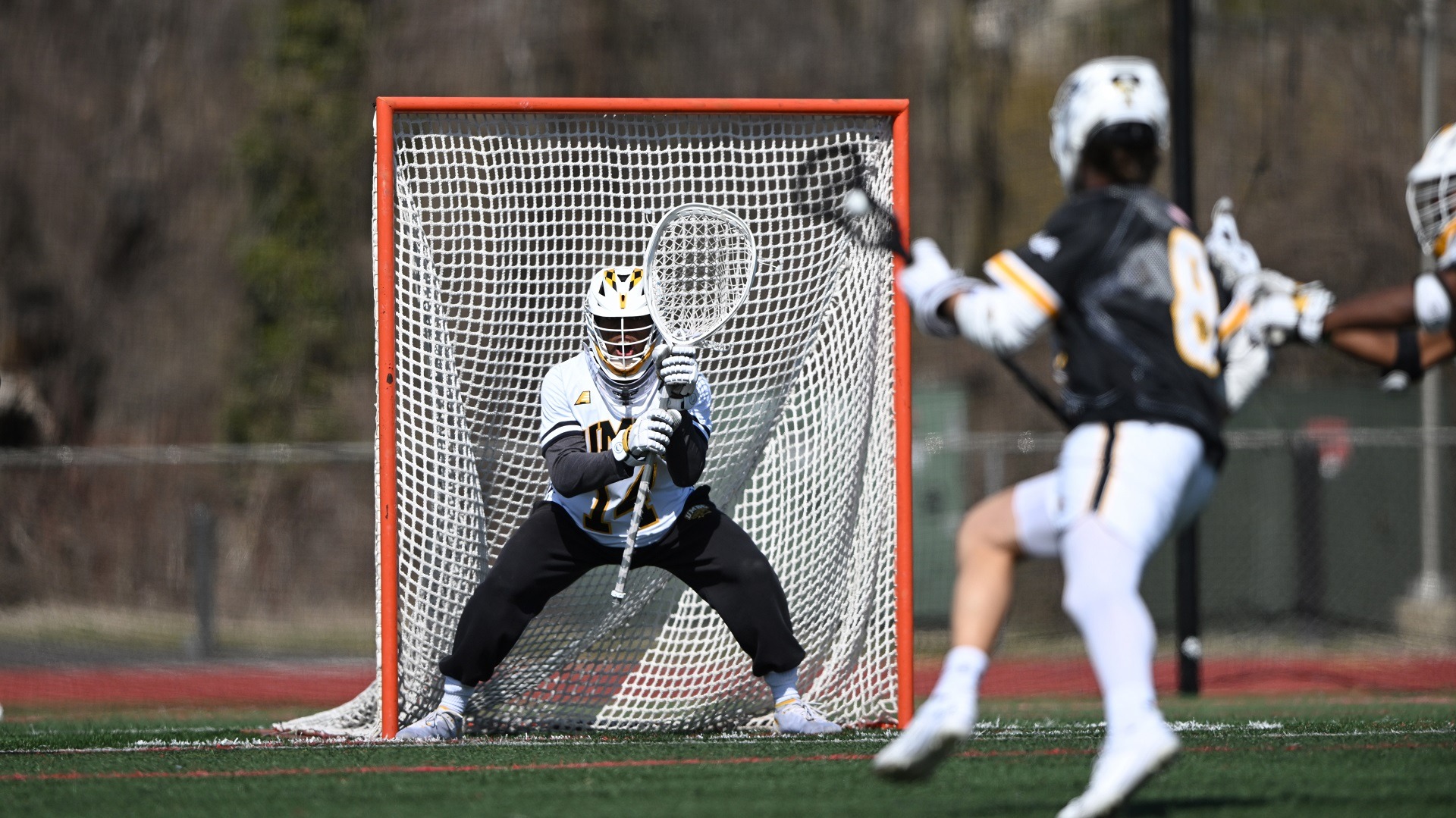 Jayson Tingue - 2023 - Men's Lacrosse - University of Maryland, Baltimore  County