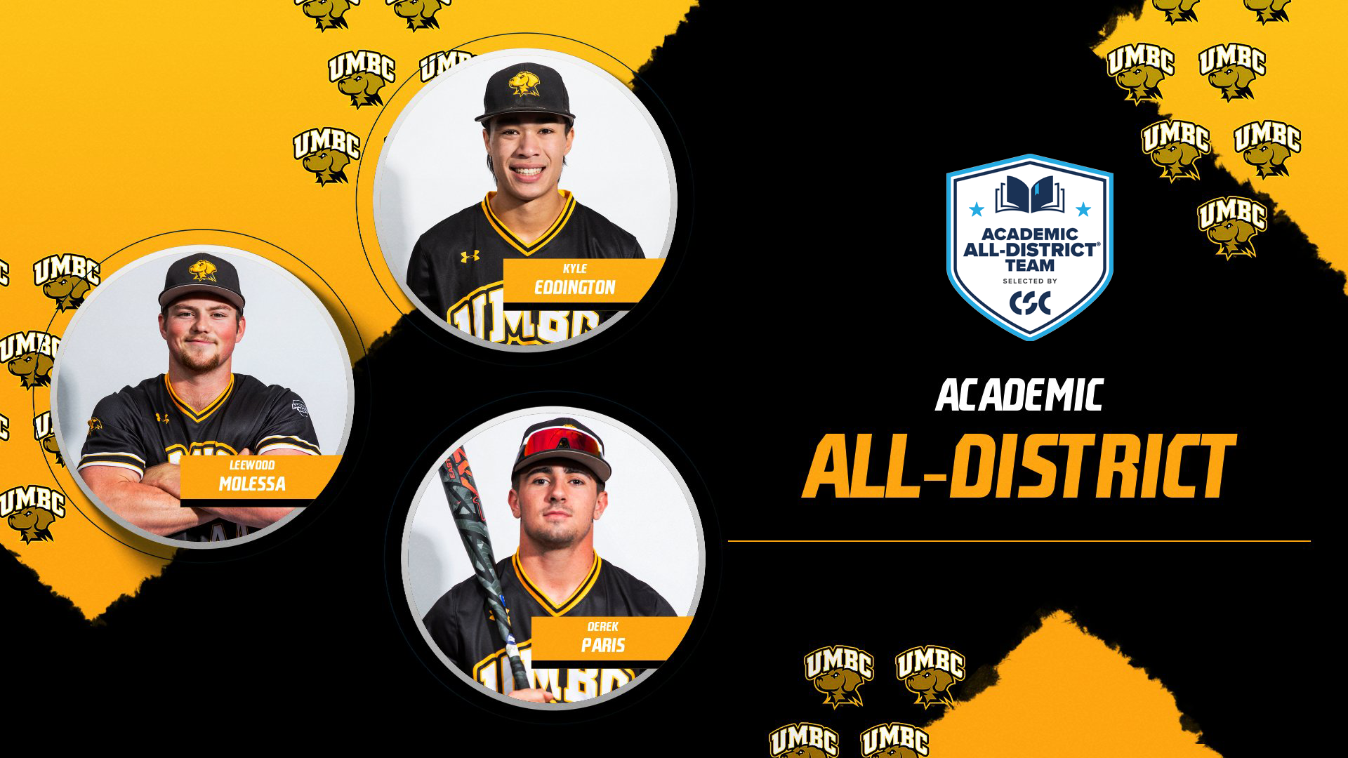 Baseball Academic All-District