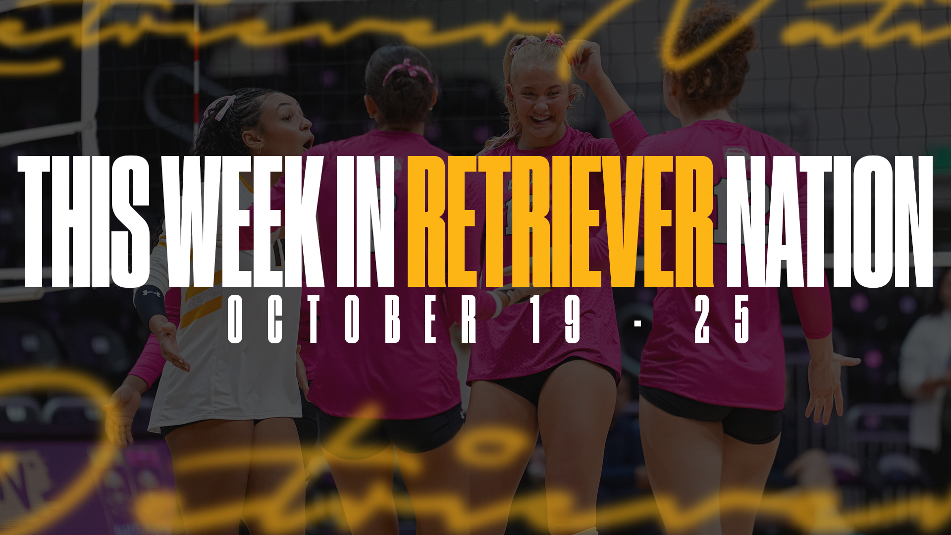 This Week in Retriever Nation 10/19