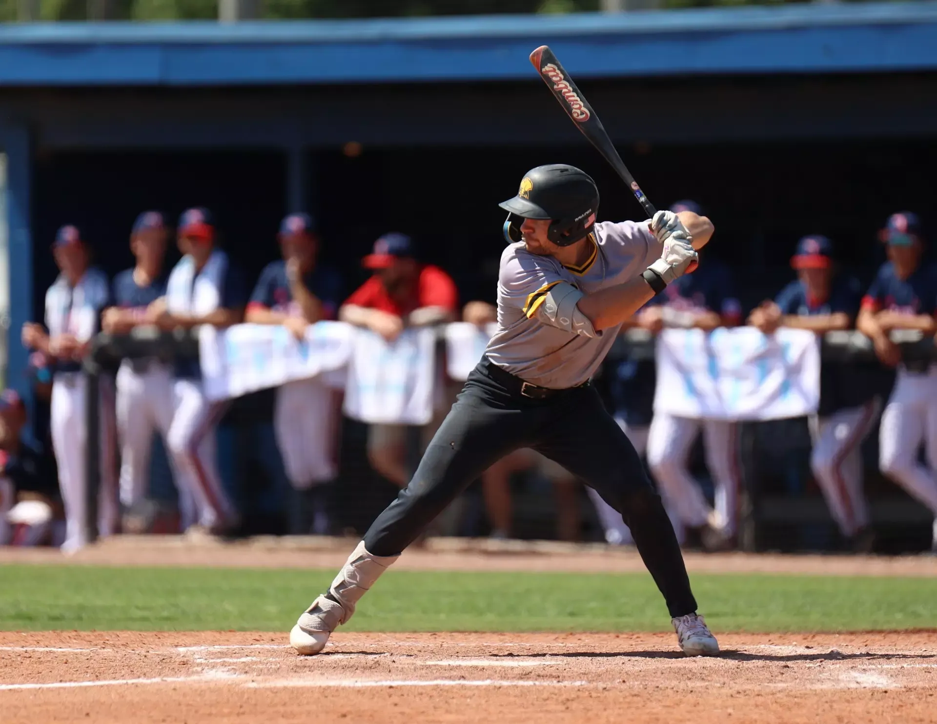 Dylan Melton bats at FAU
