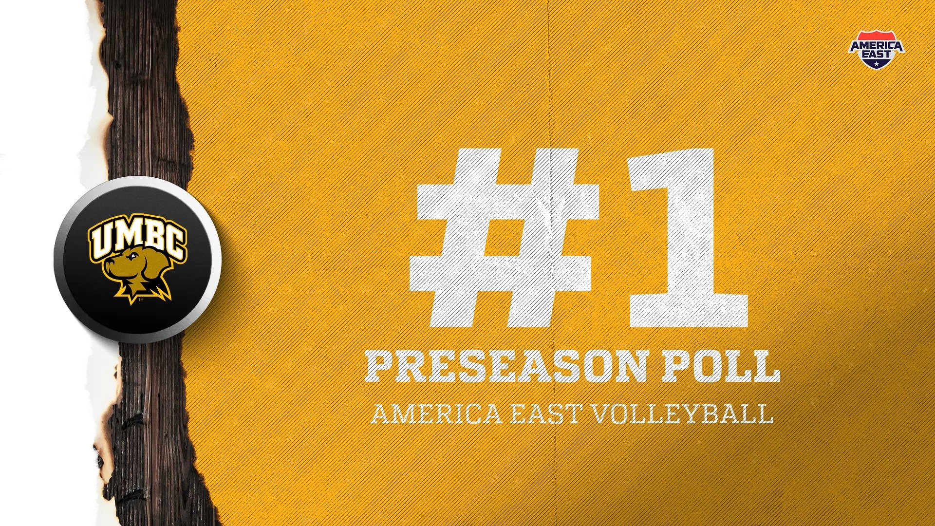 UMBC Volleyball was voted as the top team in the America East preseason poll