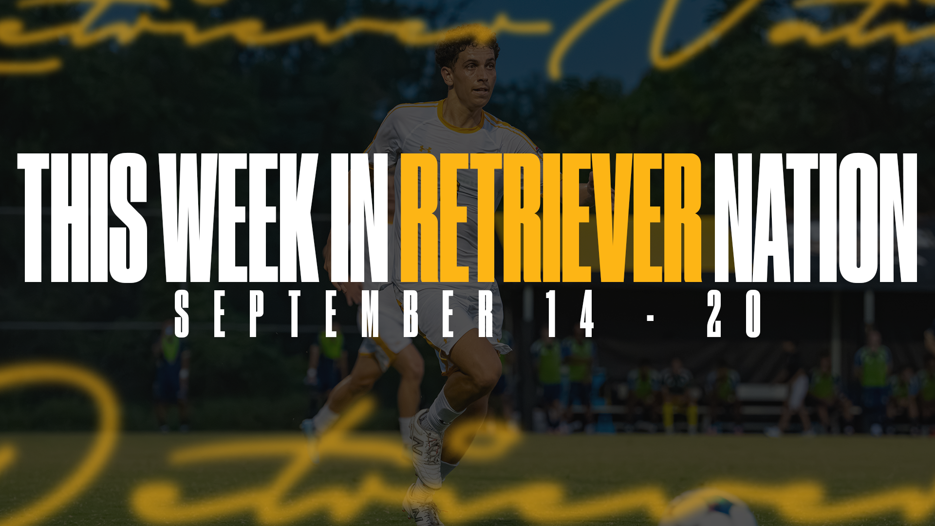 This Week in Retriever Nation 9-14