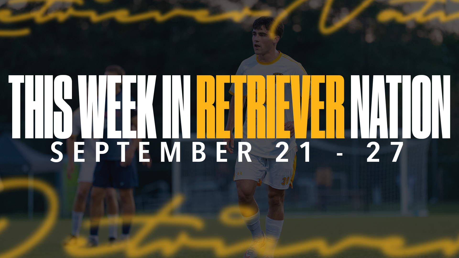 This Week in Retriever Nation