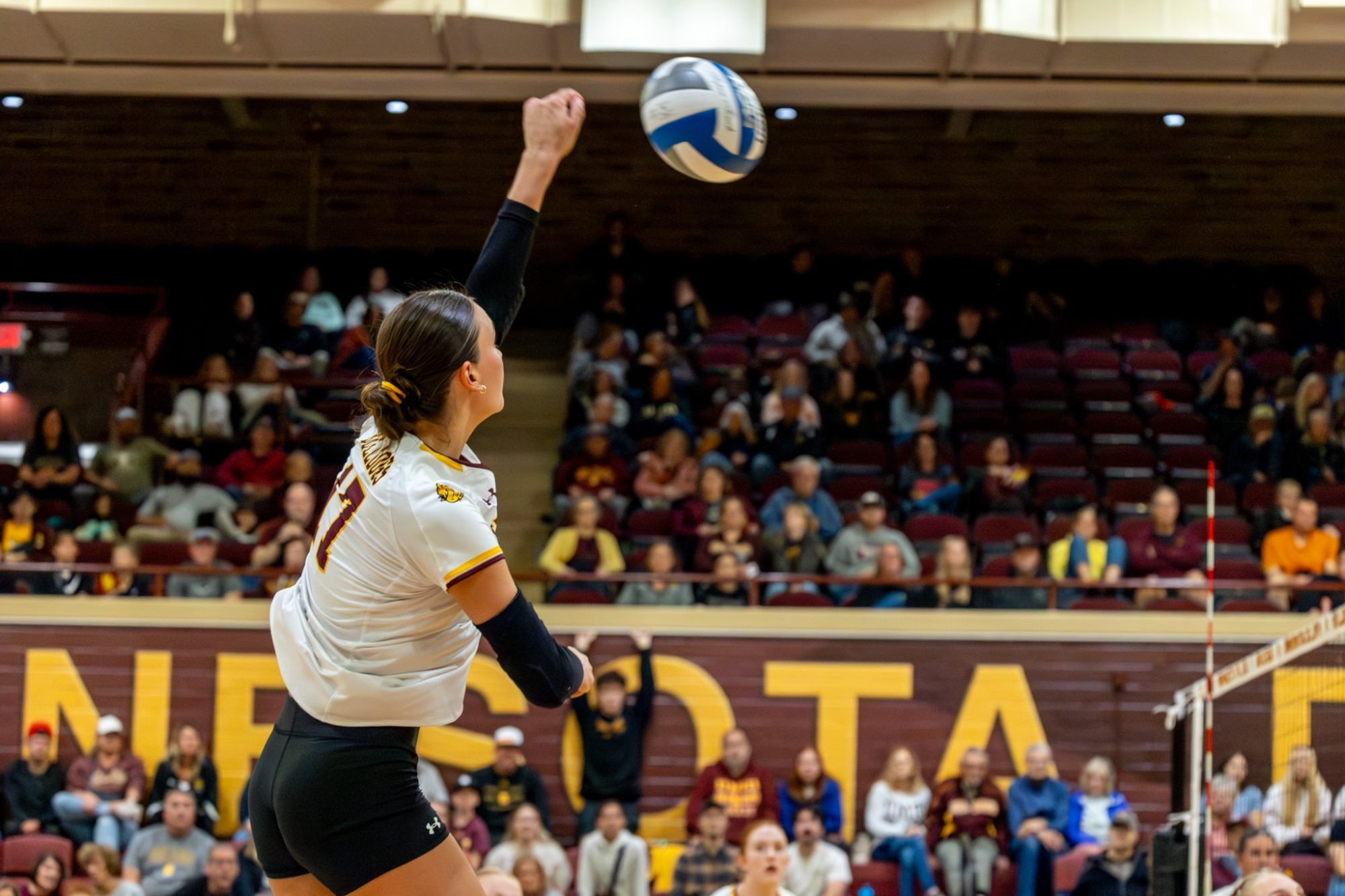 UMD Volleyball