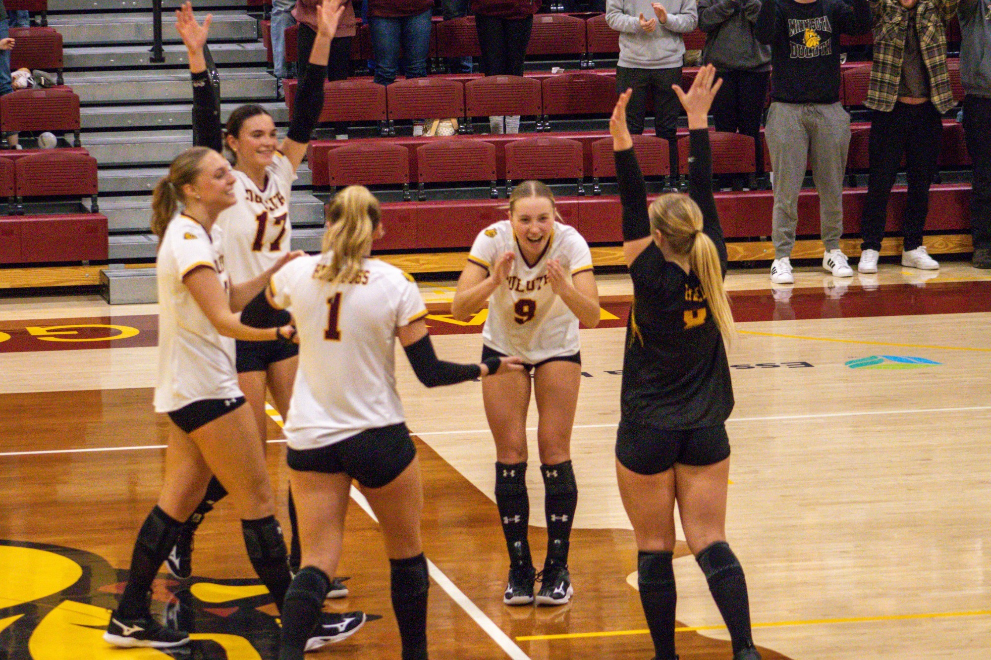 UMD Volleyball