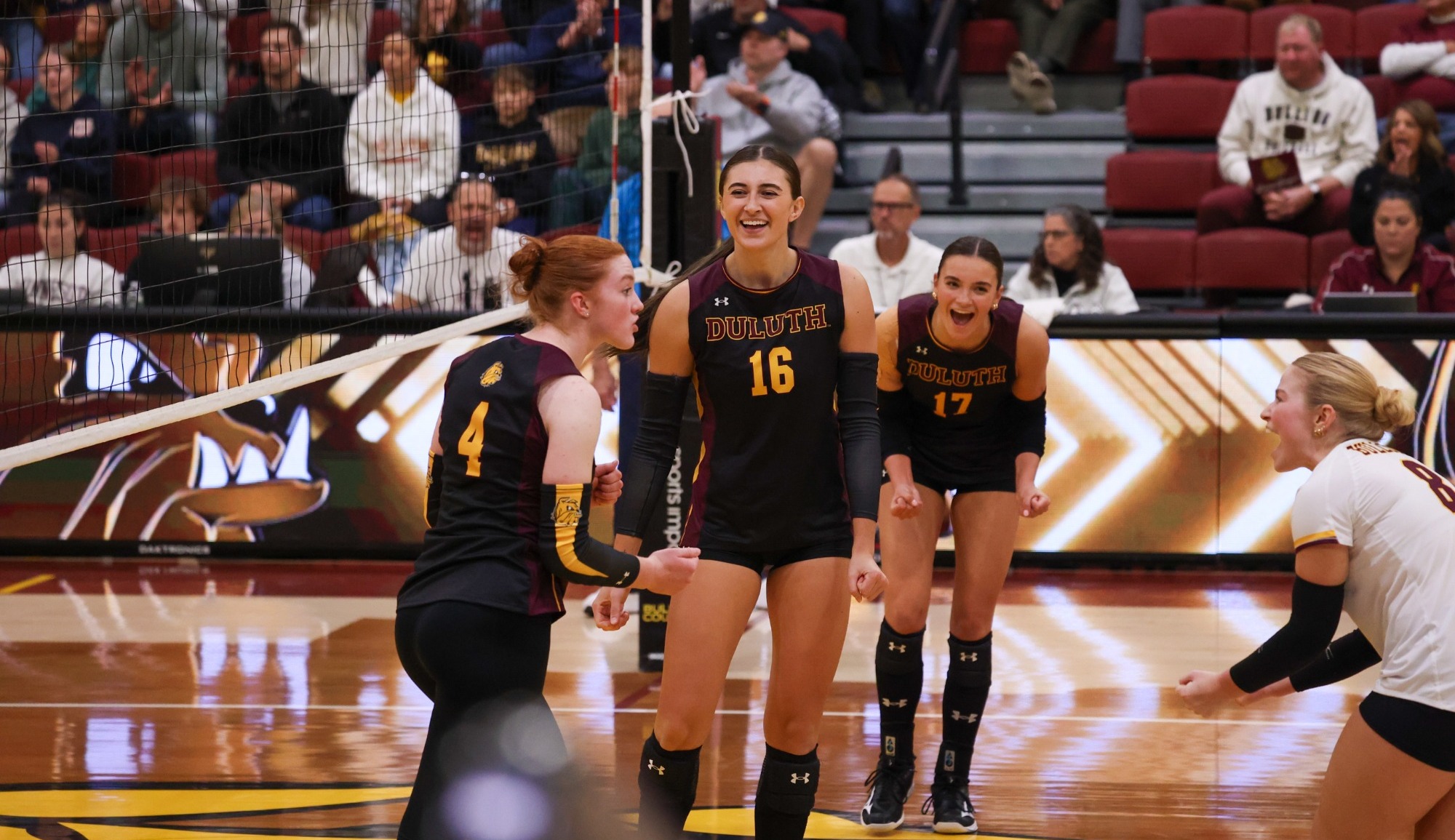UMD Volleyball