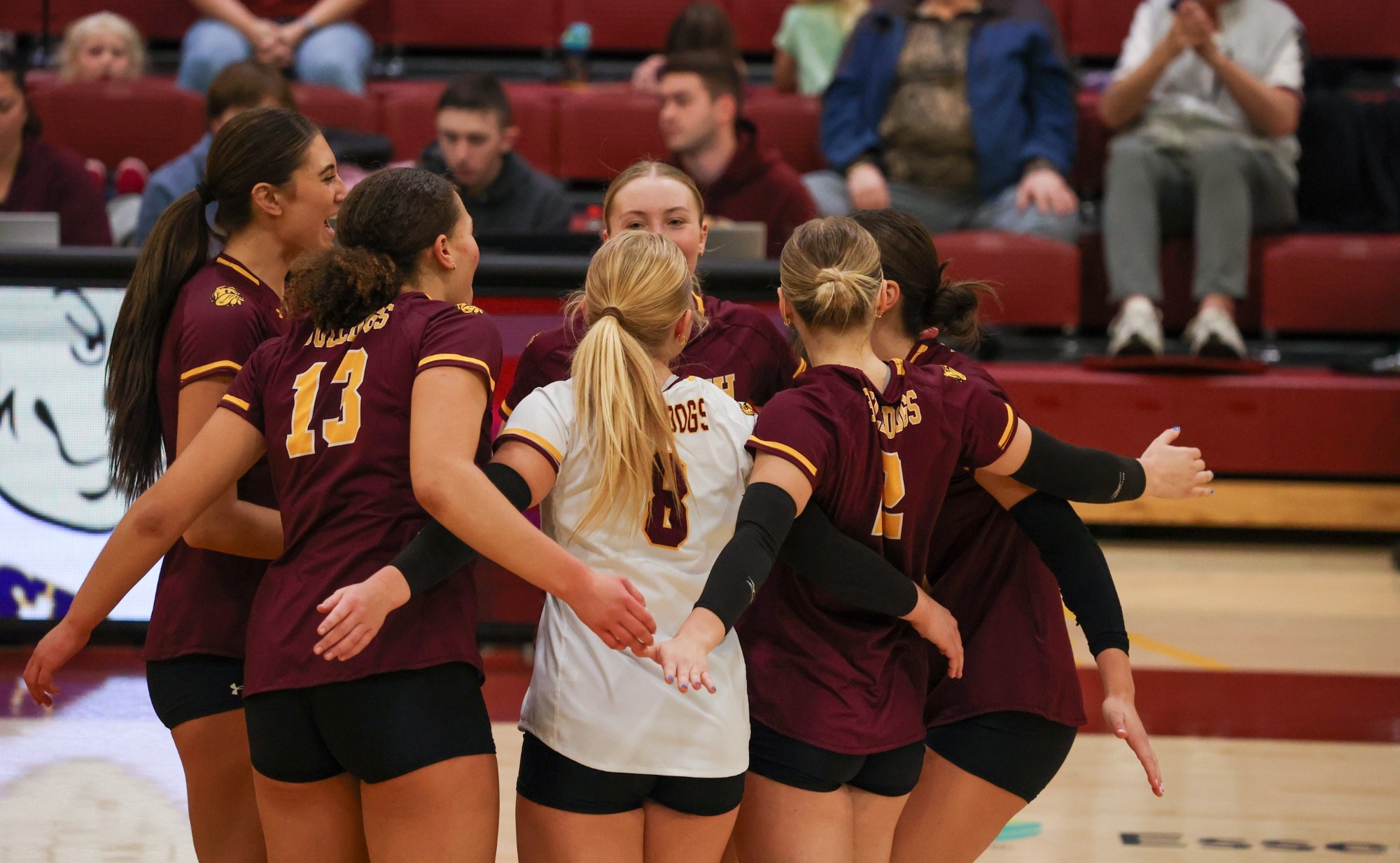 Volleyball Team
