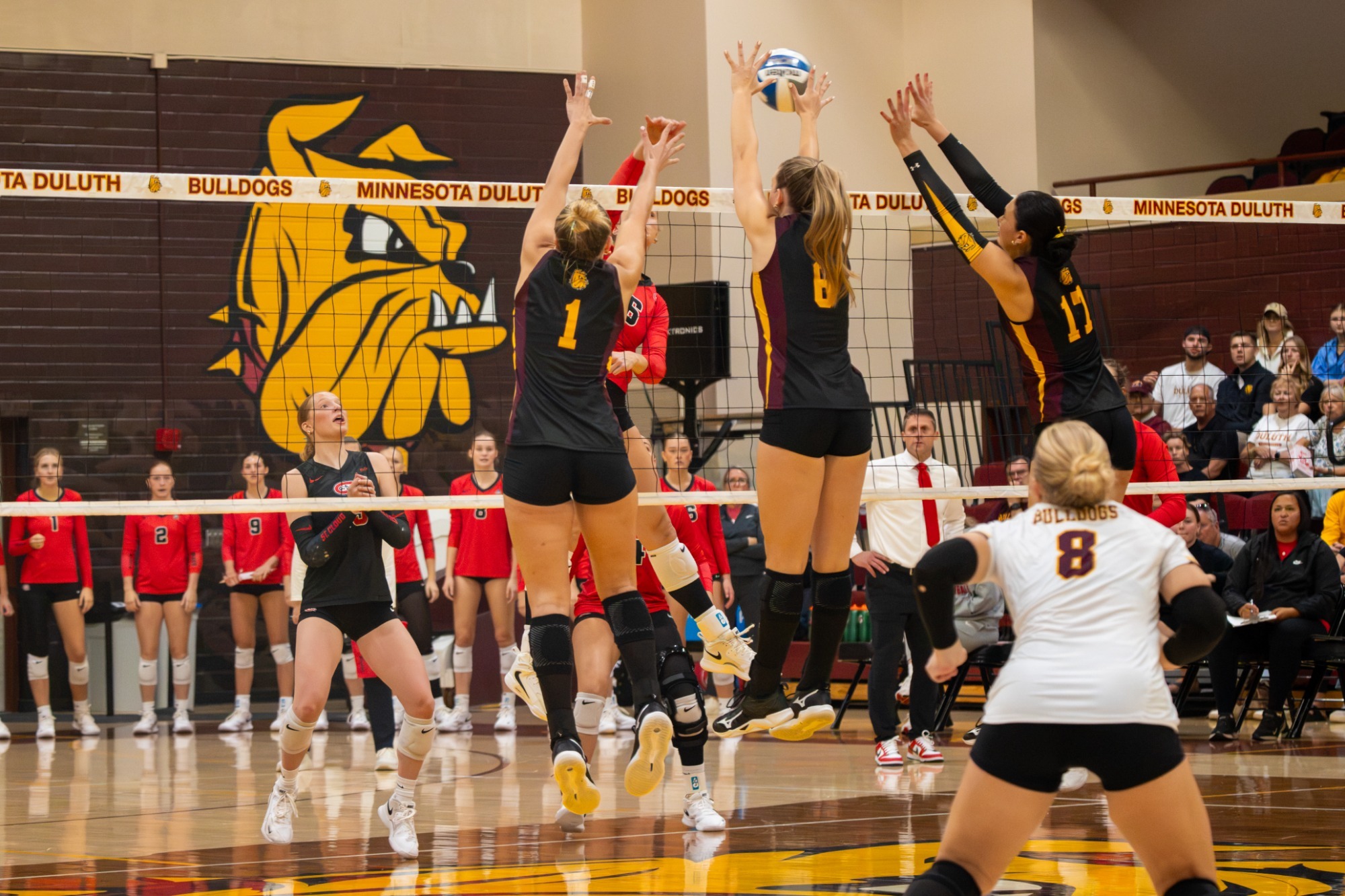 UMD Volleyball