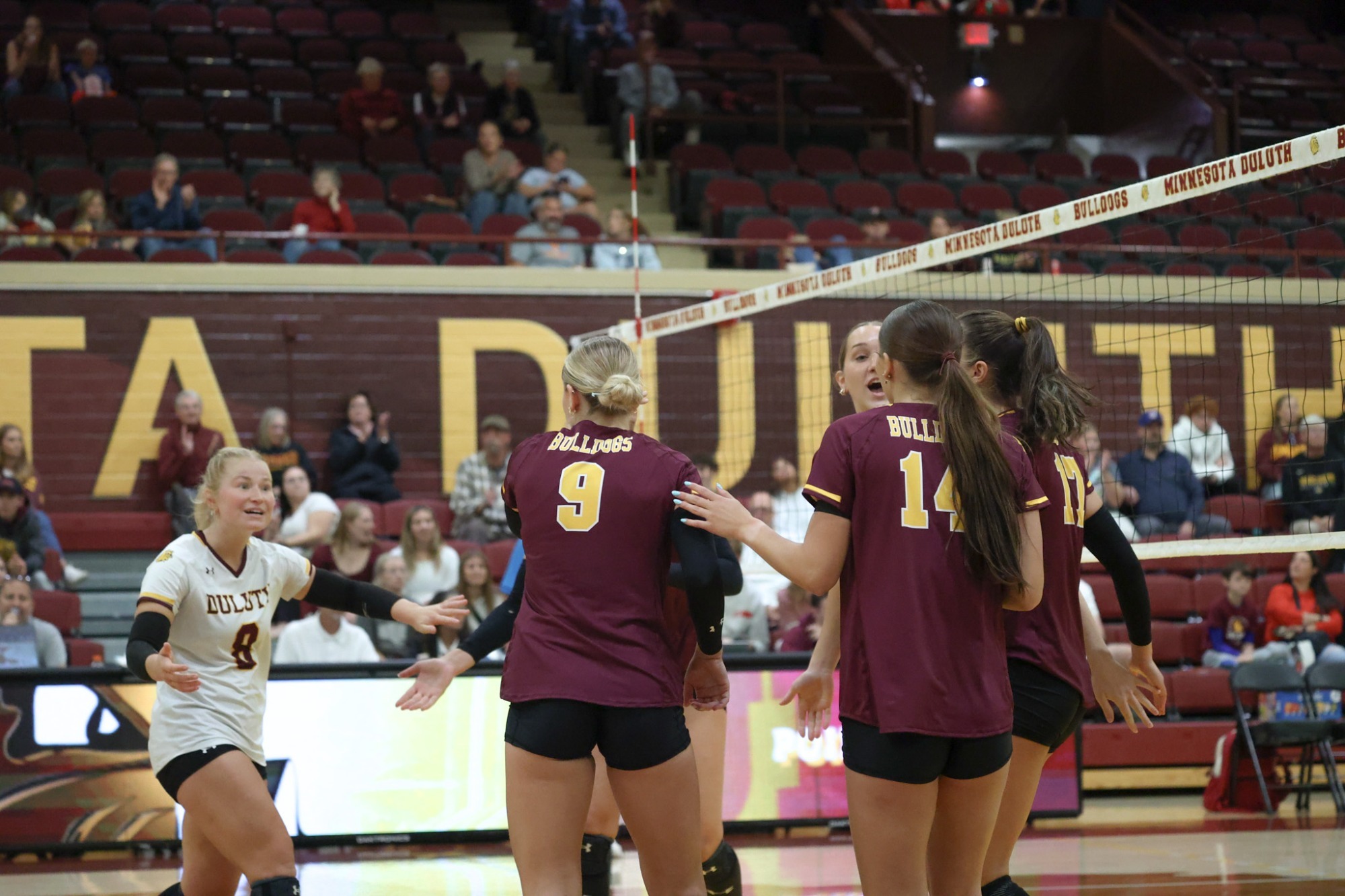 UMD Volleyball