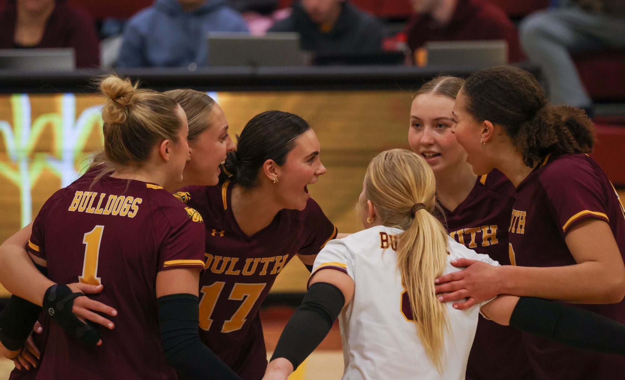 Volleyball Team