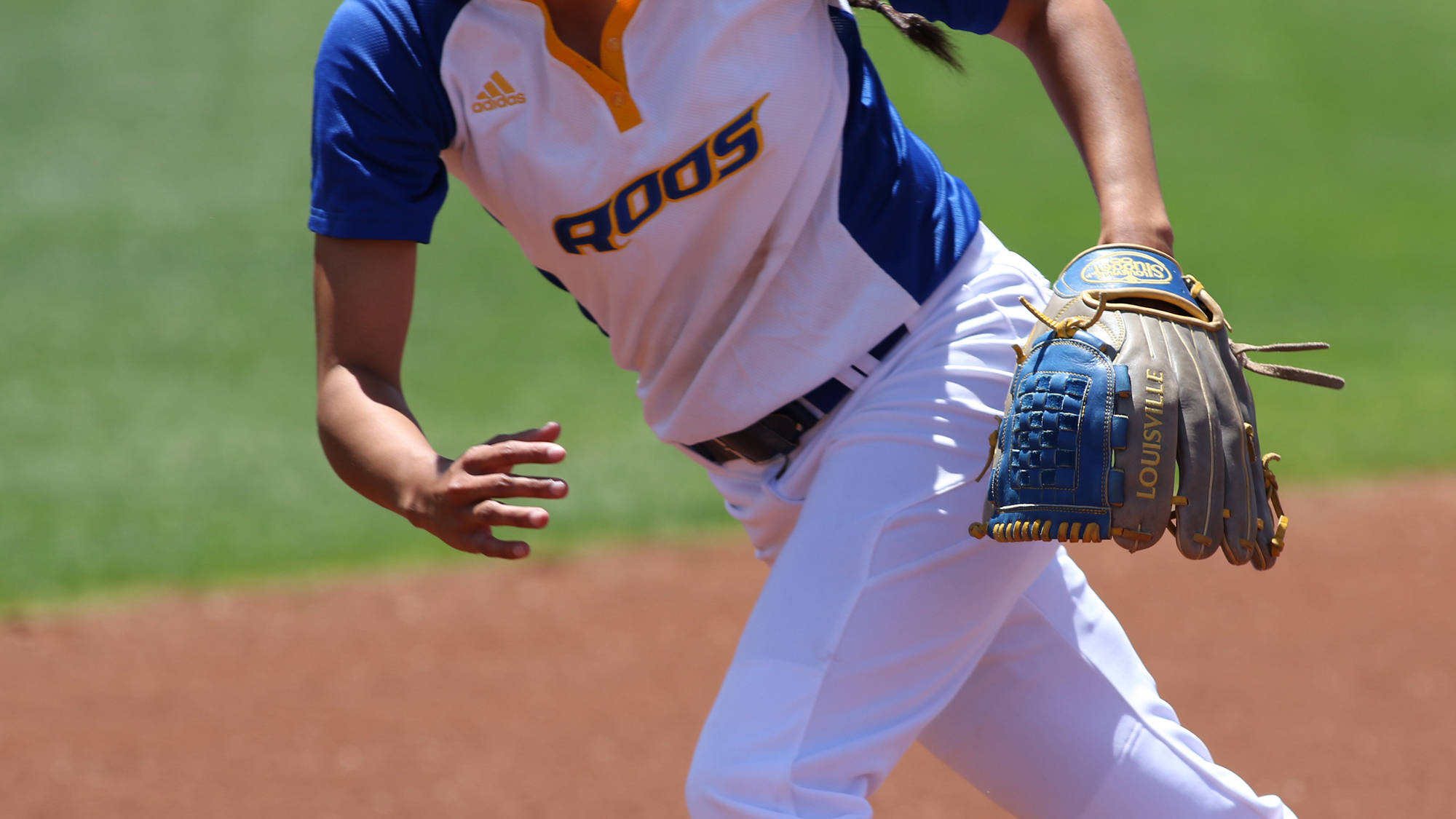 Six Roos Named 201516 NFCA ScholarAthletes University of Missouri