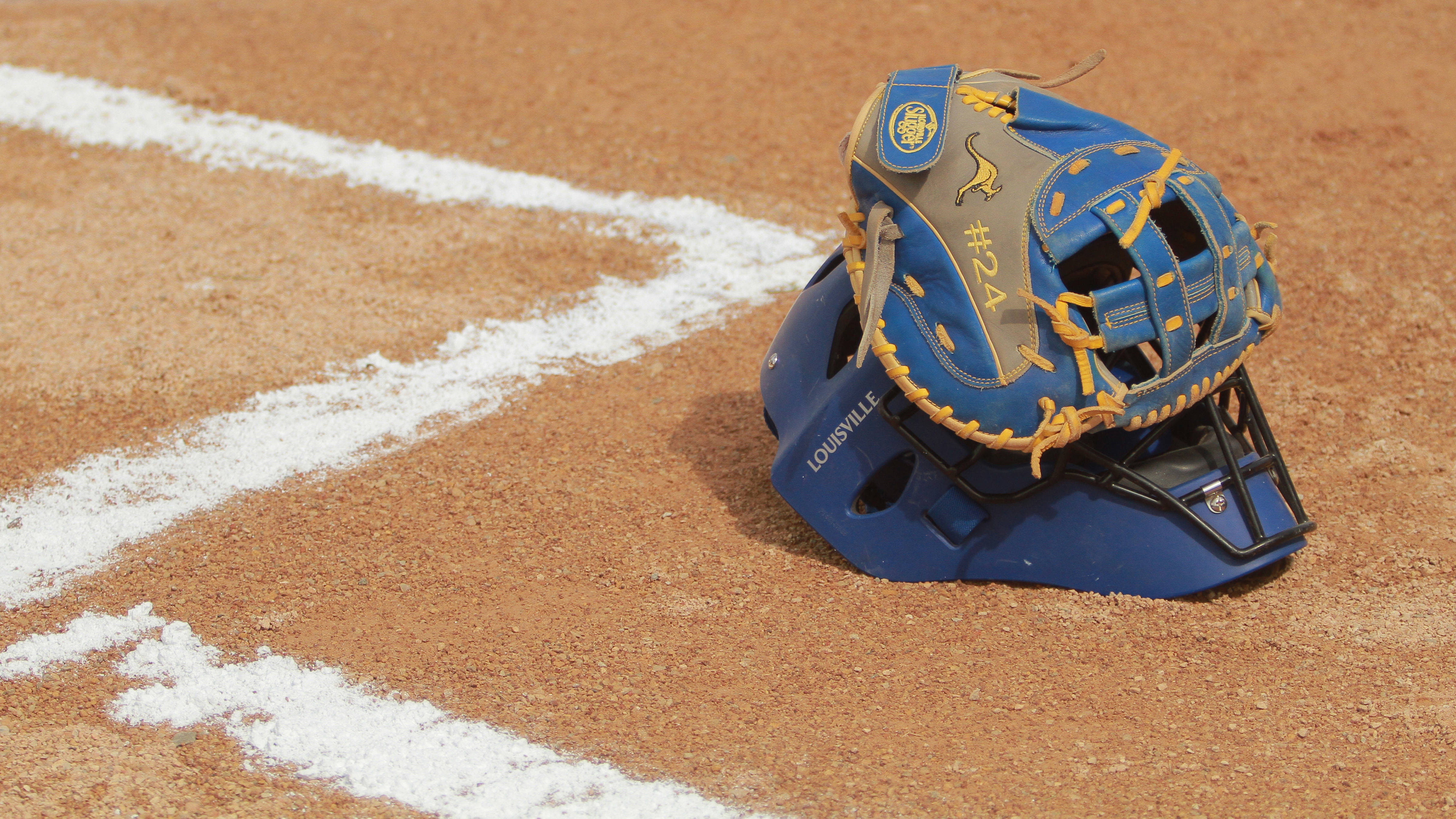 Roos Introducing Roos Kamrie Harrison University of MissouriKansas City