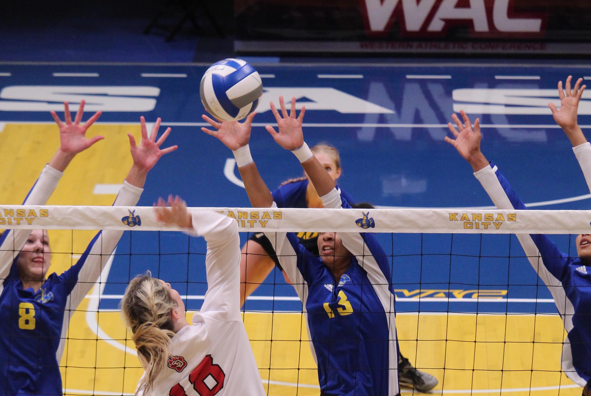 Mykal Sadler 2019 Volleyball University of MissouriKansas City