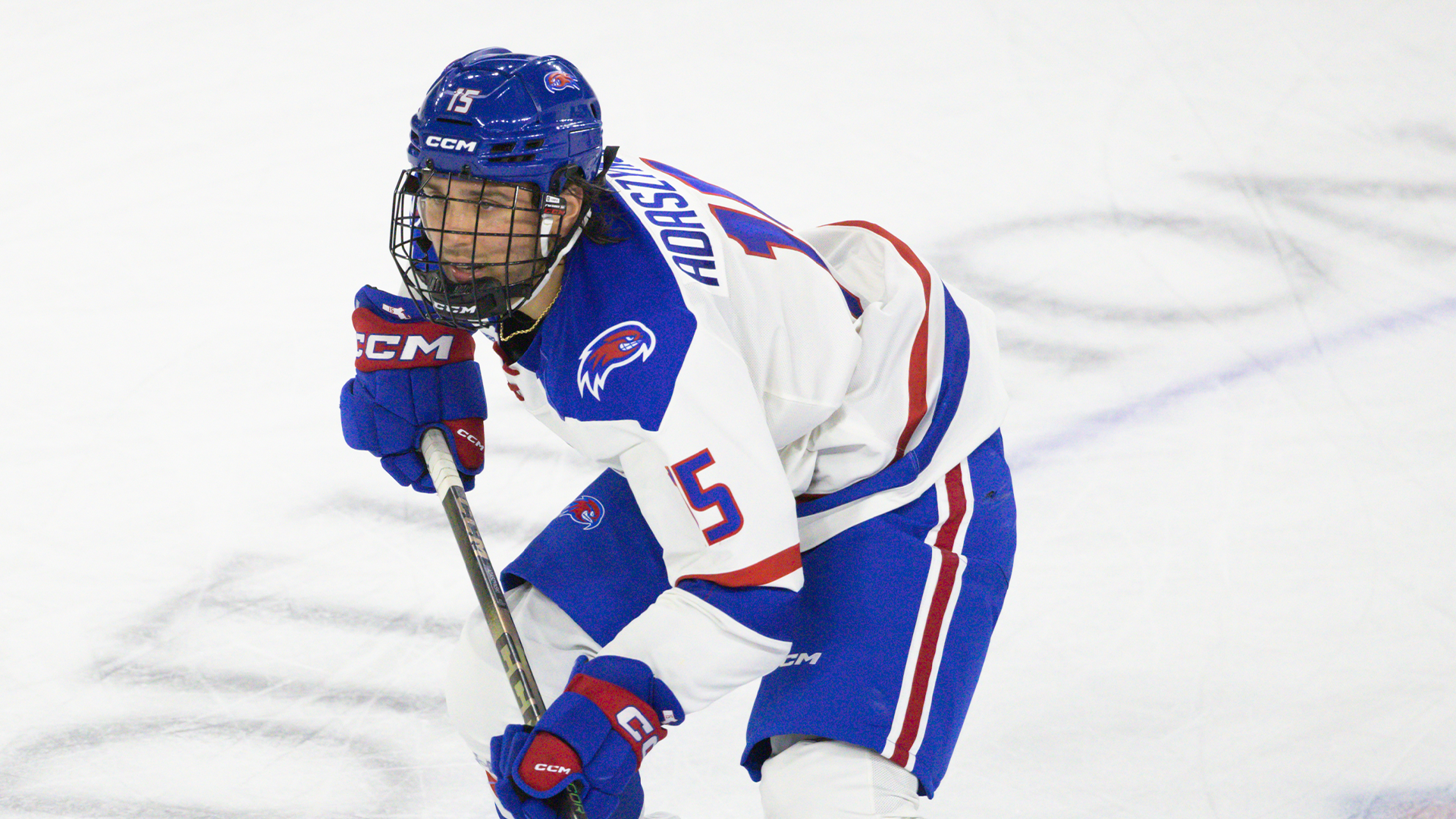 Adaszynski Recap Photo vs. Bentley