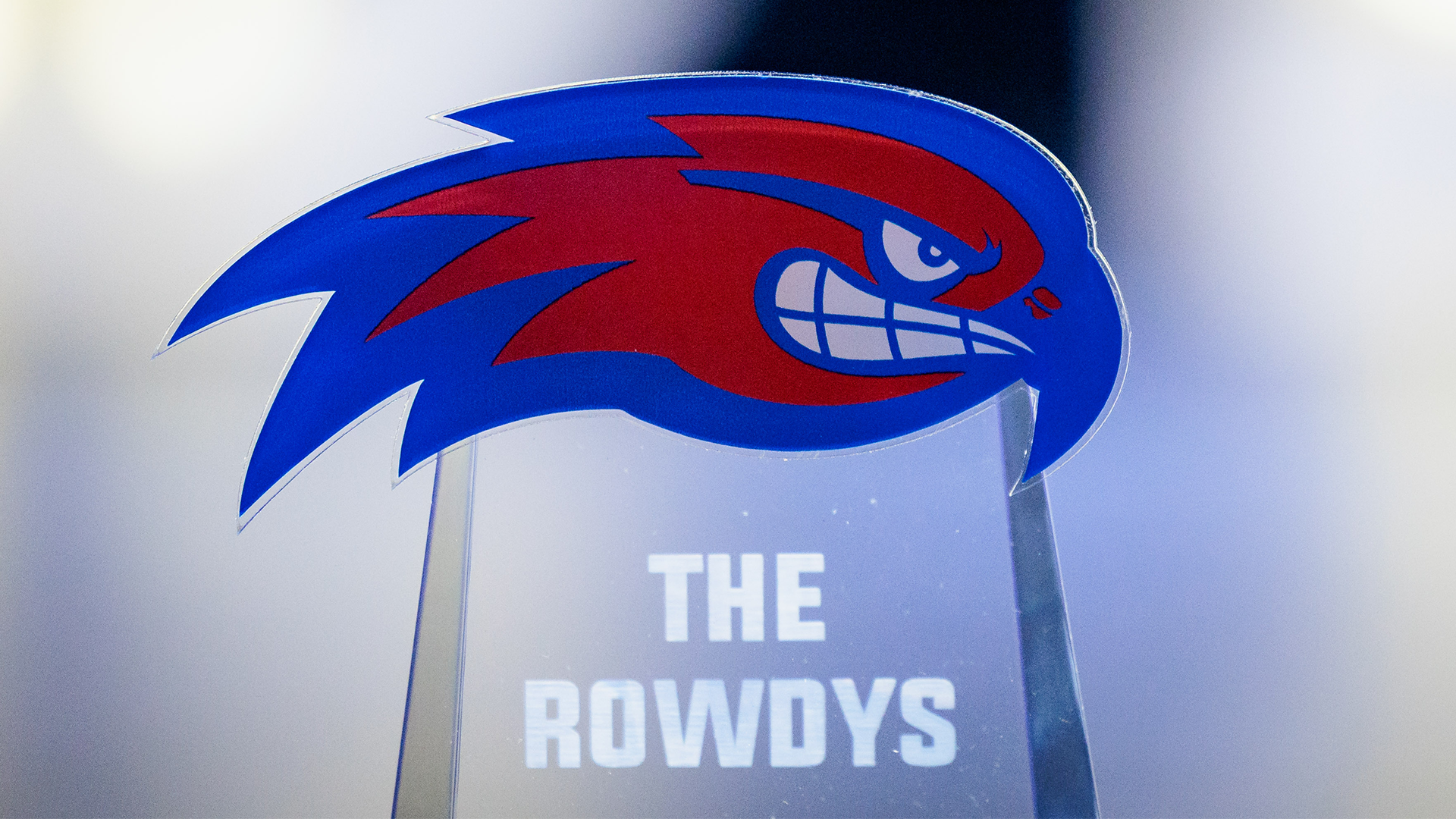 Image of Rowdys Award