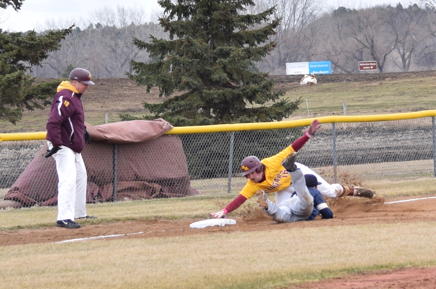 Blake Haugen Baseball University of Minnesota Morris Athletics