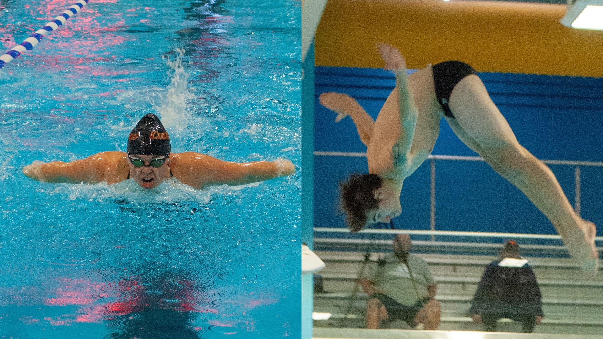 Swim and Dive Preview 10.31